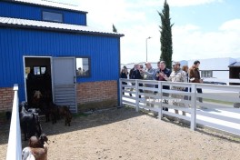 Representatives of diplomatic corps got acquainted with production facilities in Lachin -PHOTO 