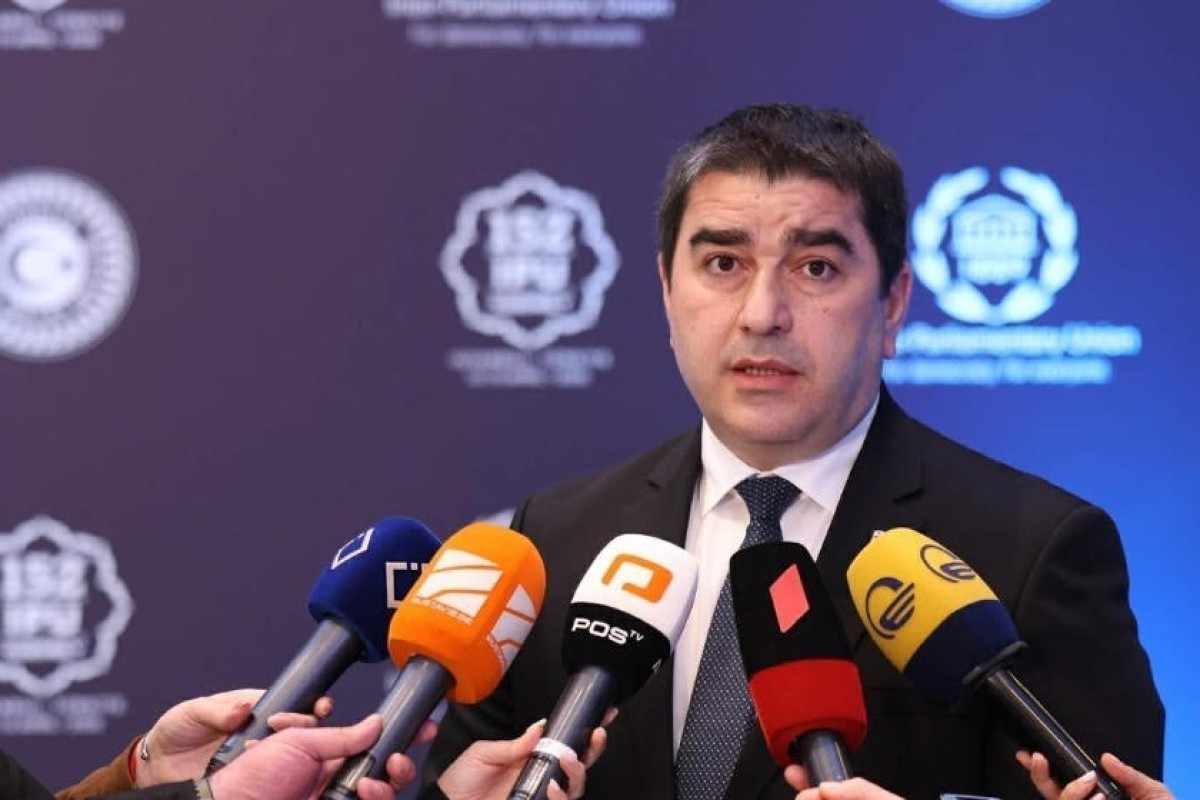 Speaker of the Georgian Parliament Shalva Papuashvili