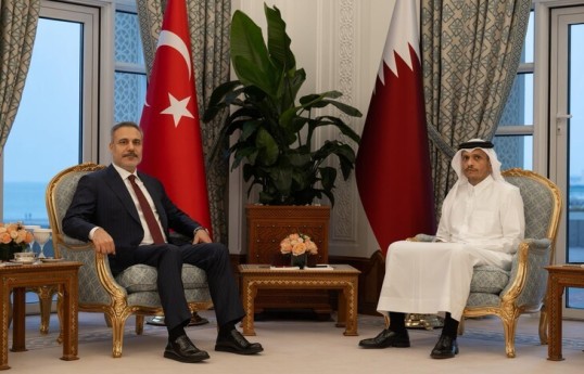 Turkish, Qatari foreign ministers discuss regional situation