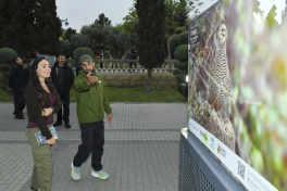 Leyla Aliyeva attends opening of exhibition titled “In the footsteps of Azerbaijan’s nature”