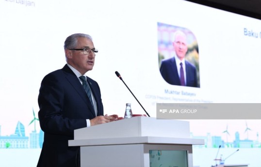 Representative of the President of the Republic of Azerbaijan on Climate Issues, Mukhtar Babayev