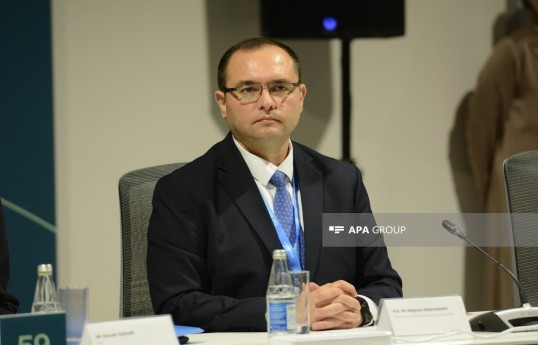 Agriculture Minister Majnun Mammadov
