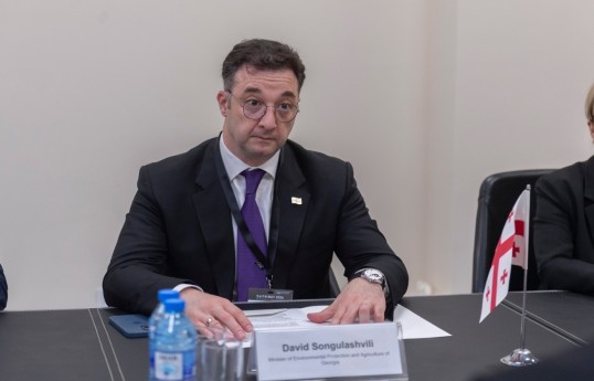 Georgian Minister of Environmental Protection and Agriculture David Songulashvili