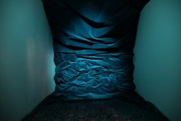 Azerbaijani pavilion opens at Venice Biennale