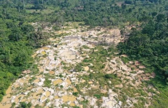 Cote d'Ivoire has lost over 80 percent of its forests