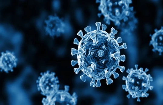 Azerbaijani Health Ministry names viruses spreading among population in recent days