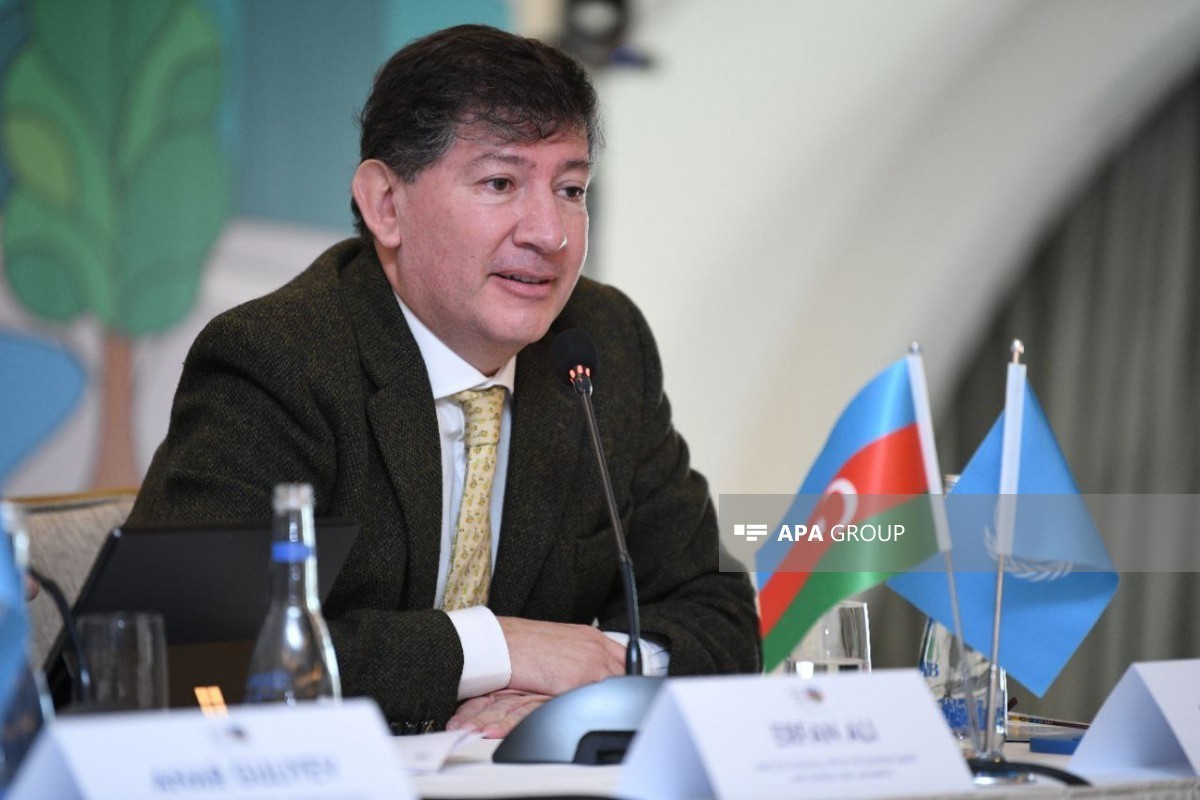 UN Resident Coordinator in Azerbaijan Igor Garafulich