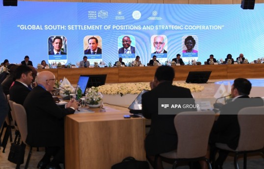 Panel discussions held at General Assembly of Global South NGO Platform - PHOTO 