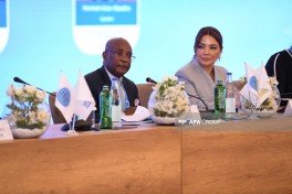 Panel discussions held at General Assembly of Global South NGO Platform - PHOTO 