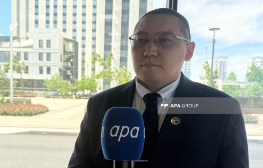 Director of the Center for Institutional Analysis and Reforms of the Kazakhstan Institute for Social Development Rizzat Tasim