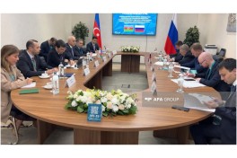 Azerbaijani, Russian deputy PMs hold talks in Kazan - PHOTO 