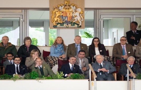 Karabakh horses exhibited at the "Windsor Royal Horse Show - 2026" - PHOTO 