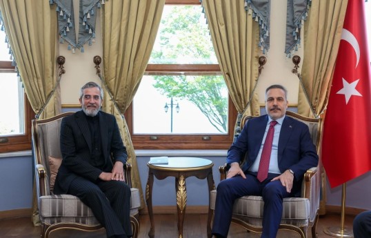 Deputy for Foreign Policy Affairs of the Secretary of Iran’s Supreme National Security Council, Ali Bagheri and Hakan Fidan, Turkish FM