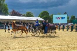 Karabakh horses exhibited at the "Windsor Royal Horse Show - 2026" - PHOTO 