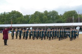 Karabakh horses exhibited at the "Windsor Royal Horse Show - 2026" - PHOTO 