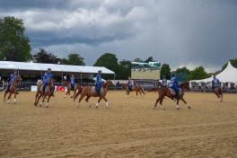 Karabakh horses exhibited at the "Windsor Royal Horse Show - 2026" - PHOTO 