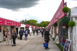 Karabakh horses exhibited at the "Windsor Royal Horse Show - 2026" - PHOTO 