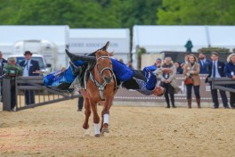 Karabakh horses exhibited at the "Windsor Royal Horse Show - 2026" - PHOTO 