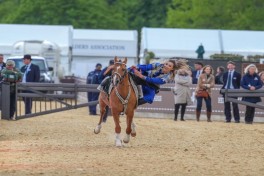 Karabakh horses exhibited at the "Windsor Royal Horse Show - 2026" - PHOTO 