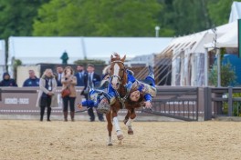 Karabakh horses exhibited at the "Windsor Royal Horse Show - 2026" - PHOTO 