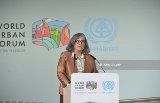 Executive Director of the United Nations Human Settlements Programme (UN-Habitat), Anacláudia Rossbach