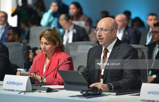 Share of renewable energy in Azerbaijan’s overall energy balance to be increased