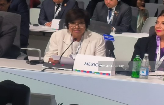 Mexican representative: We thank Azerbaijan for organizing WUF13 at a high level