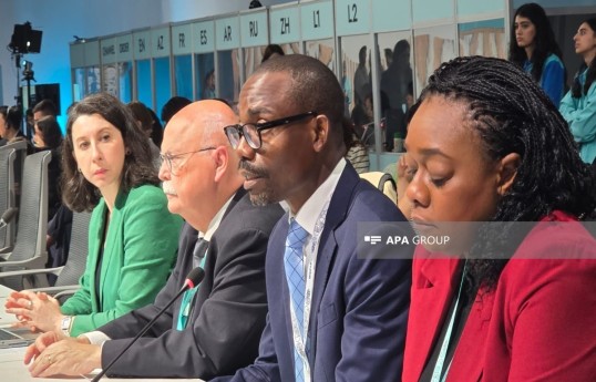 Gabonese minister: 3 billion people worldwide live in inadequate housing conditions