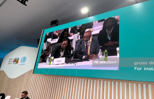 Kenyan representative: WUF13 agenda provides timely opportunity to identify challenges