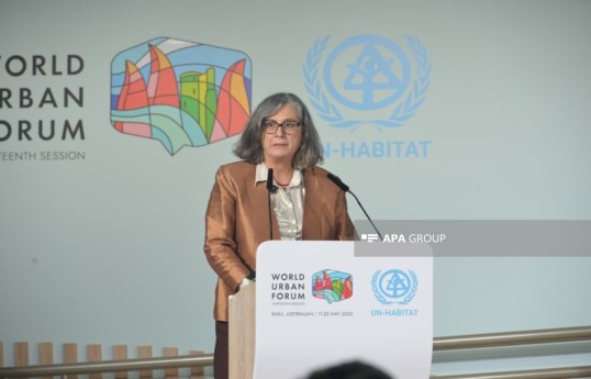 Executive Director of the United Nations Human Settlements Programme (UN-Habitat) Anacláudia Rossbach