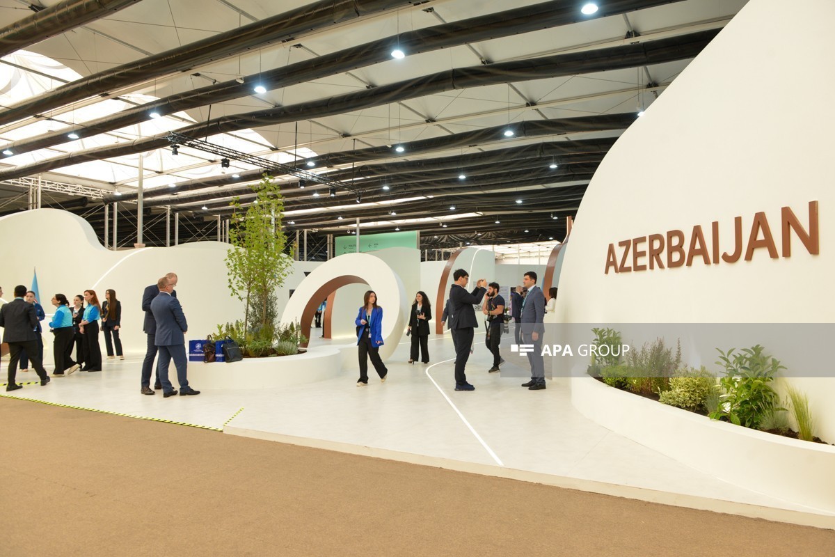 Second day of WUF13 held in Baku - PHOTO REPORT 