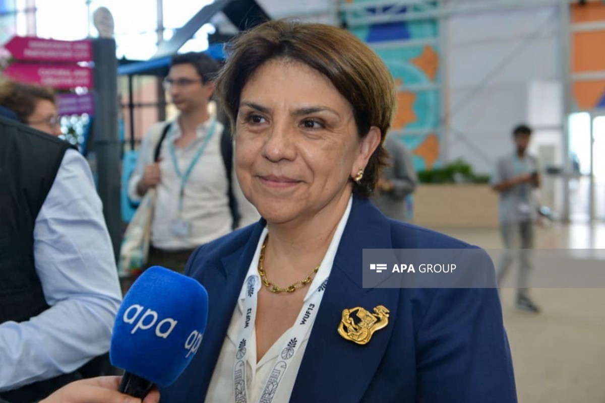 Mexico’s Ambassador to Azerbaijan Maria Victoria Romero Caballero