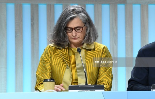 Executive Director of the United Nations Human Settlements Programme (UN-Habitat) Anacláudia Rossbach