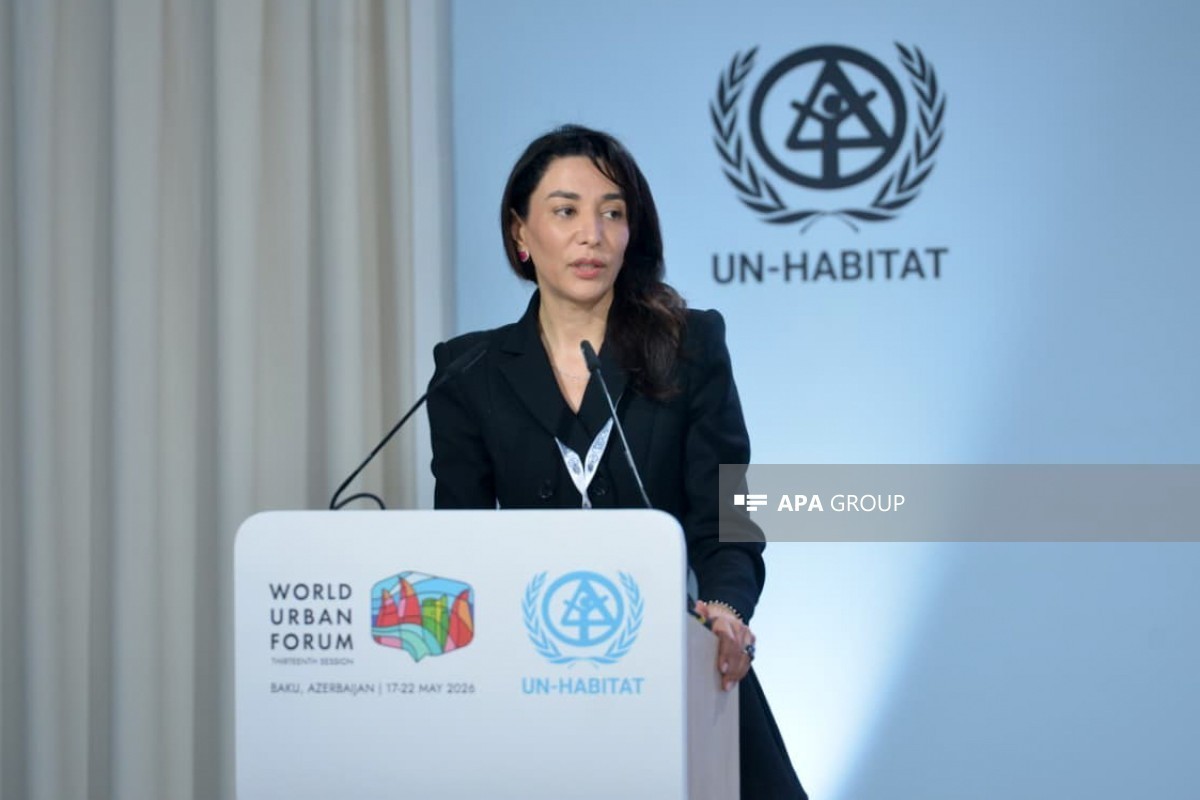 Commissioner for Human Rights (Ombudsman) of the Republic of Azerbaijan Sabina Aliyeva