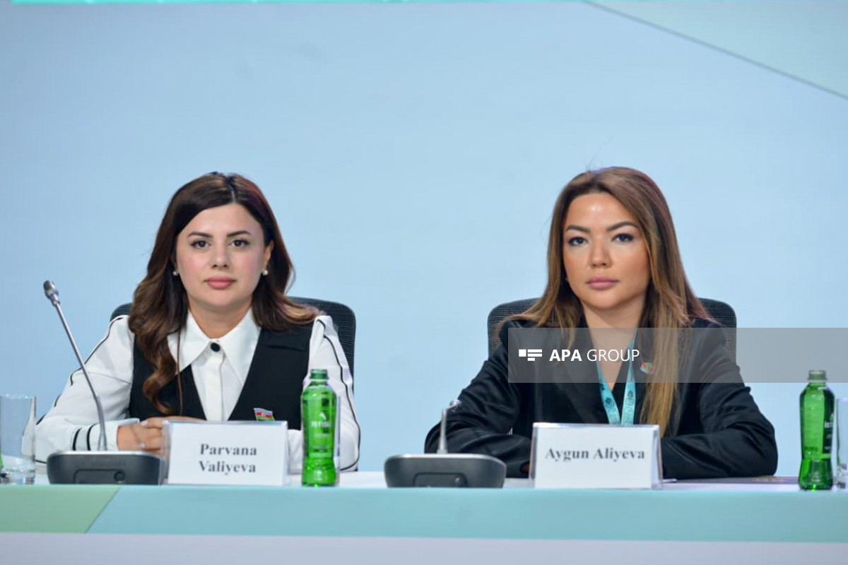 Aygun Aliyeva: The concept of an inclusive city is not limited to physical infrastructure