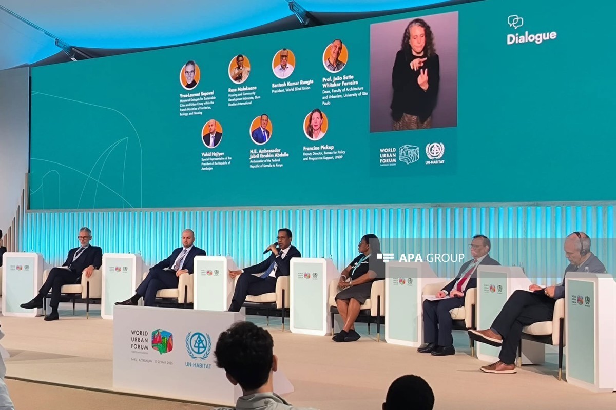 UNDP: It is important for the private sector to invest in housing construction