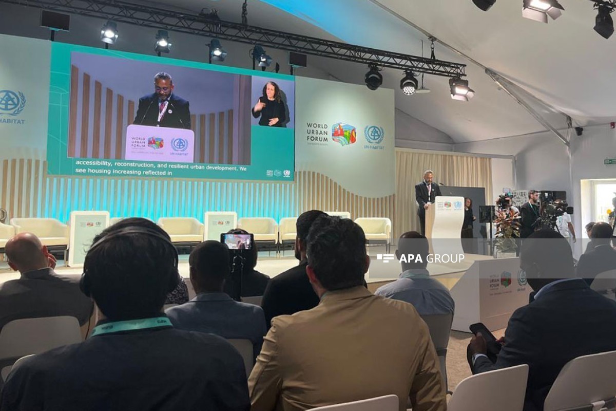 UN-Habitat division director: Housing provision should stand at the center of global coalitions