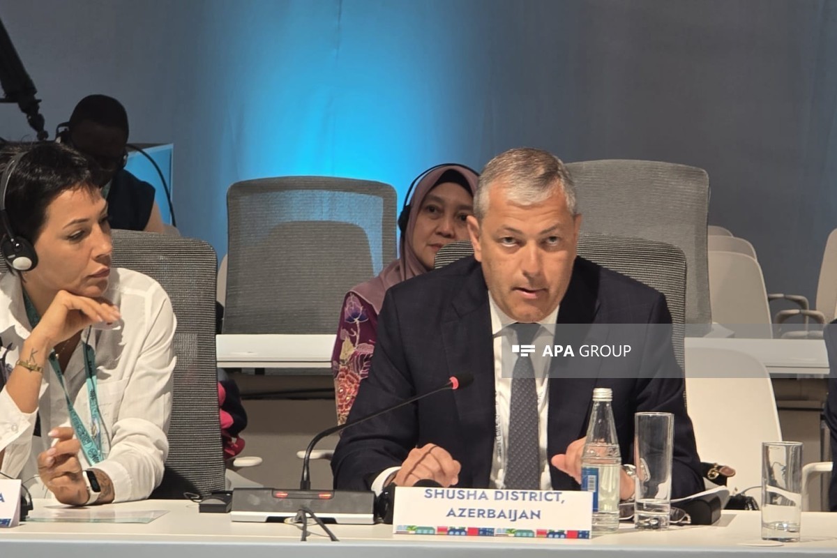 Aydin Karimov, Special Representative of the President of the Republic of Azerbaijan in Shusha district