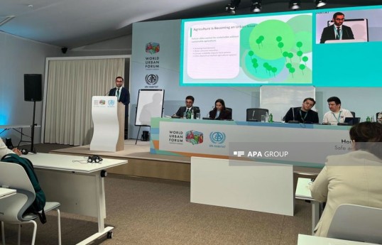 Grand Agro Invitro CEO: Sustainable cities cannot exist without sustainable agriculture