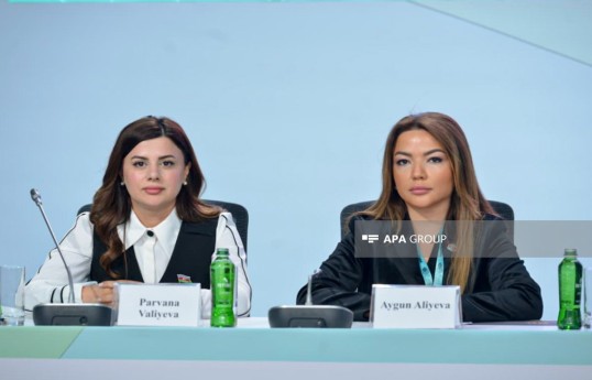 Aygun Aliyeva: The concept of an inclusive city is not limited to physical infrastructure