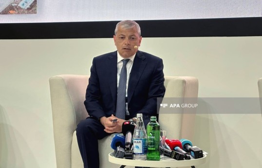 Aydin Karimov, Special Representative of the President in the Shusha district