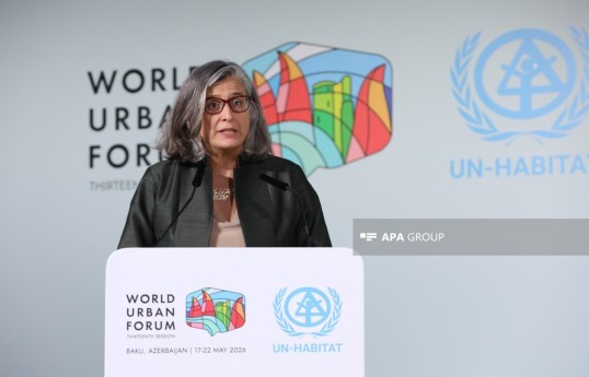 Executive Director of the United Nations Human Settlements Programme (UN-Habitat) Anacláudia Rossbach