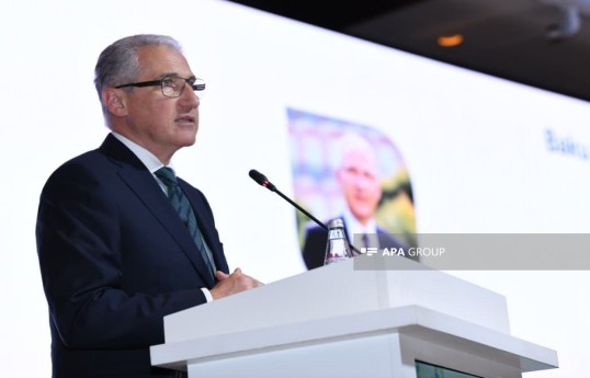 Presidential Representative on Climate Issues Mukhtar Babayev