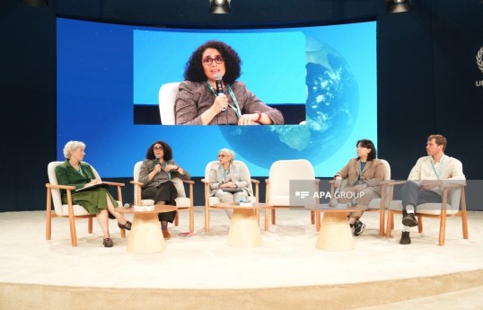 ziza Akmouch, Head of the Cities, Urban Policies and Sustainable Development Division of the Organisation for Economic Co-operation and Development (OECD)