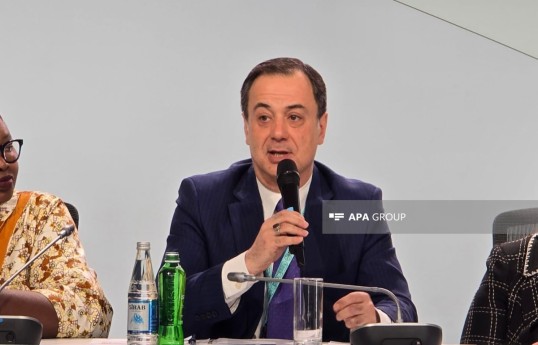Azerbaijani Foreign Ministry Ambassador-at-Large Elshad Iskandarov