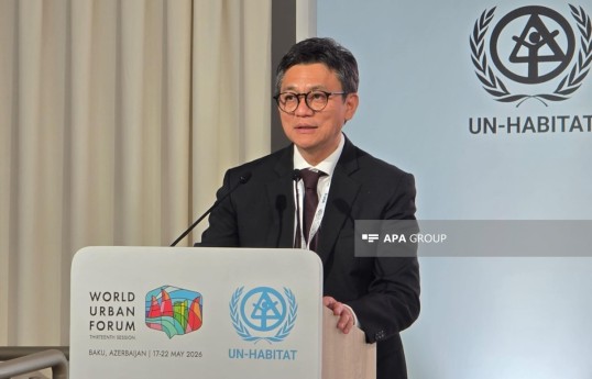 Indonesian Ambassador to Azerbaijan Berlian Helmy