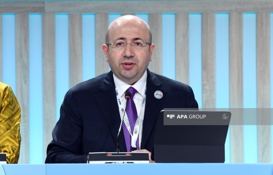 Chairman of the State Committee on Urban Planning and Architecture of the Republic of Azerbaijan Anar Guliyev
