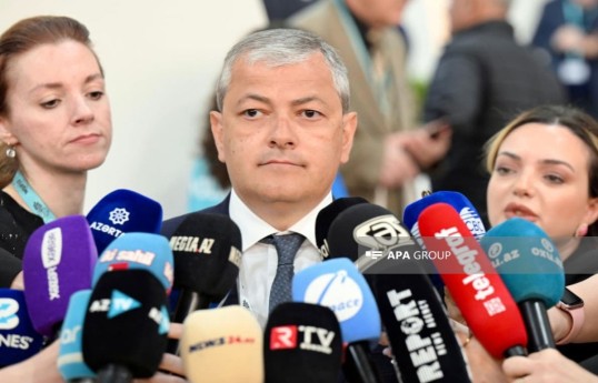 Aydin Karimov, Special Representative of the President in the Shusha district