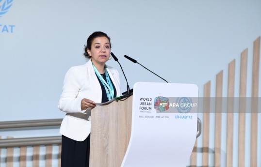 UN official: Azerbaijan contributes to cooperation with the Global South