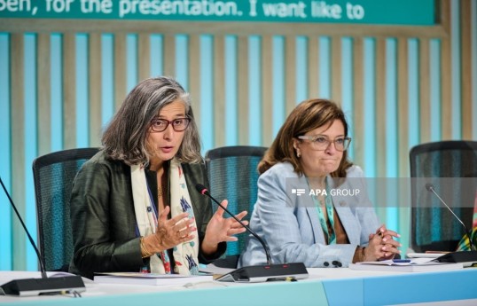 UN-Habitat Executive Director Anaclaudia Rossbach